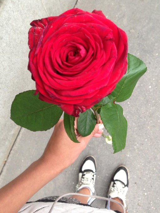 Hanna Storsjö - Today I found a rose!!! On the tram stop! I gave it to Tiina :) #roskisdykare http://t.co/qomeiXsrQF