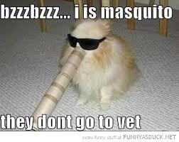 kickassweston's tweet photo. lol http://t.co/ukwfNyema8