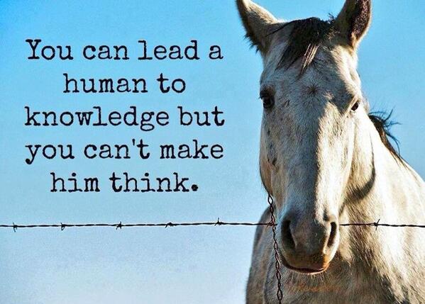 inarelativeway's tweet photo. Truth. http://t.co/6ejU2nWwVA