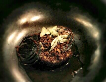 Warm salted cows milk, charred onion