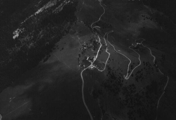 MB OSSO SERVICE tweet media