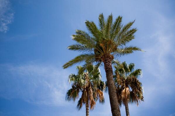 eduabroadpl's tweet photo. Holidays are so close. do you have any plans Beach, sea, rest, mountains … how to spend your unforgettable holidays? http://t.co/UY4UjOGL3g