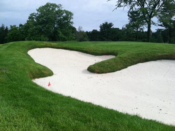 Pine Hollow Greens tweet media