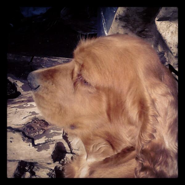PA_RAMIREZ's tweet photo. Fin de semana, pinta muy bien. http://t.co/zbWIhsbEJq