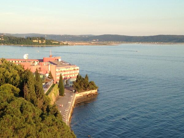 SLO Združ Urgent med tweet media