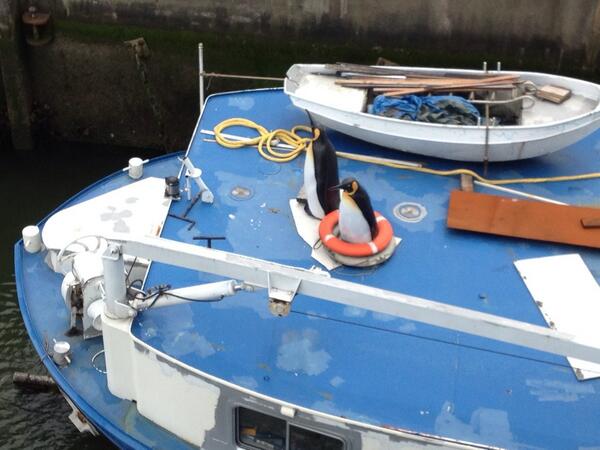 Looks like some Penguins from Rotterdam Zoo wanted to supervise their fresh Biscay Seawater being delivered!!!