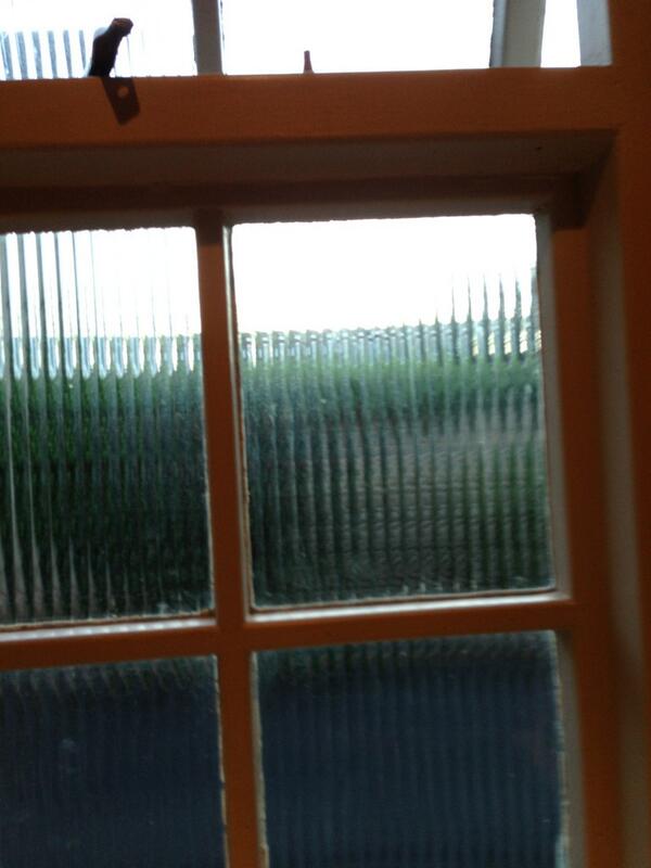 sebastiaanevans's tweet image. Having a piss view #pubproblems