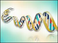 BriburSEA's tweet photo. Glad Supreme Court ruled against patents on natural DNA gene sequences... http://t.co/d8vnrArcv1 #ussupremecourt http://t.co/j9mwSn0Ybv