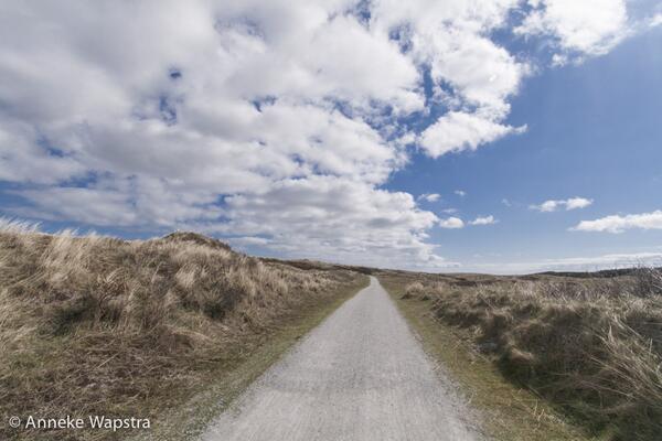 abwfoto's tweet photo. @5wadfotografen Fietspad door de duinen naar het Oerd op #Ameland http://t.co/u8ELtgJWGa