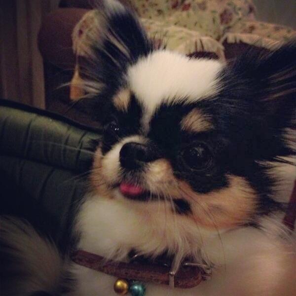 nannizza's tweet photo. How cute u are my princess:)) http://t.co/P5A1v1RXGz