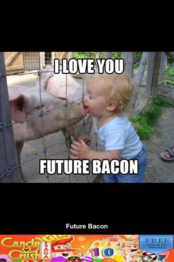 thfd316's tweet image. Me too