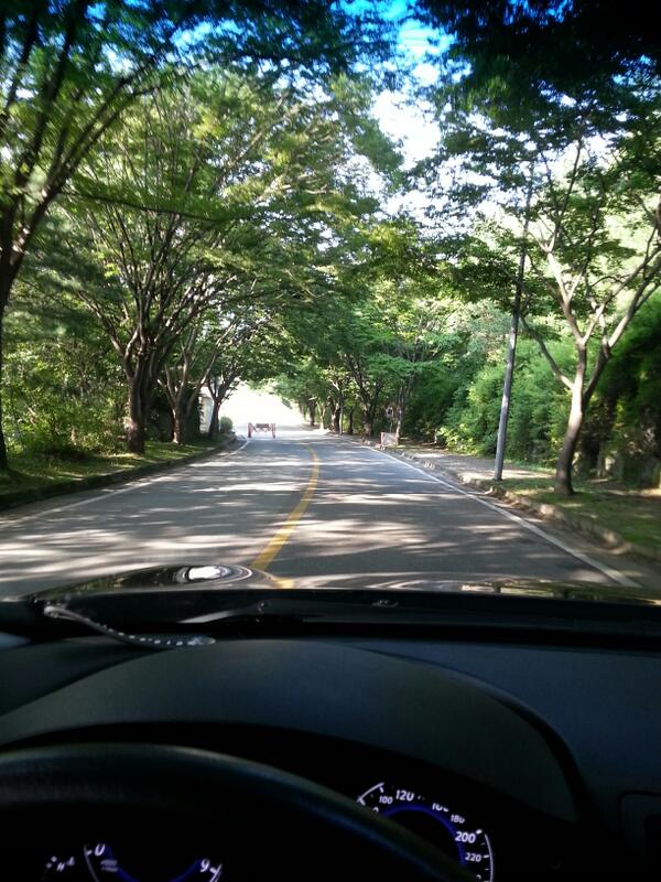 몇달동안 자연속에서 지냈지만  전혀지겹지않네요~~항상 맘의평온함을^^