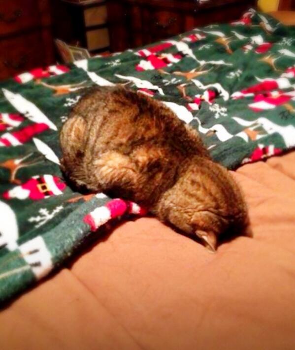I... Iz... Drunk... Lol