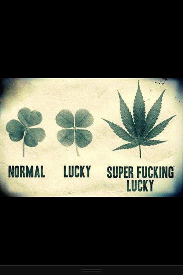 Seriously love this 😙💨🍁