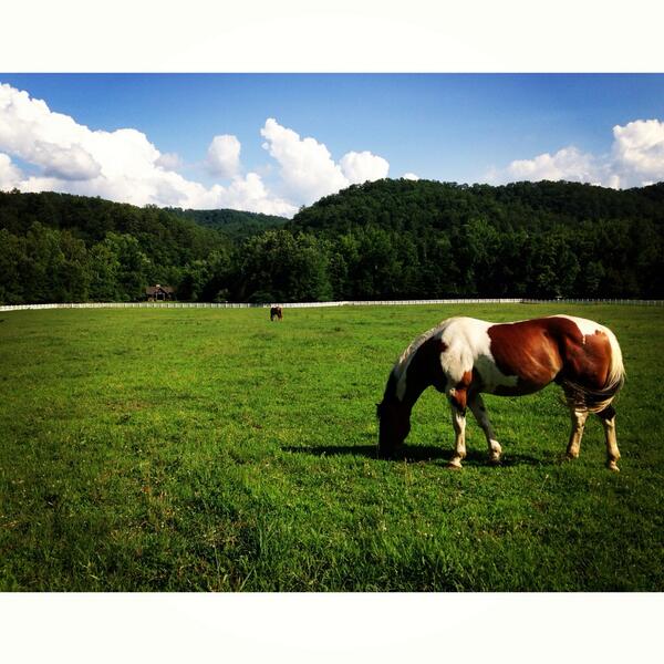 LPCEvents's tweet image. Beautiful Blackberry Farm.