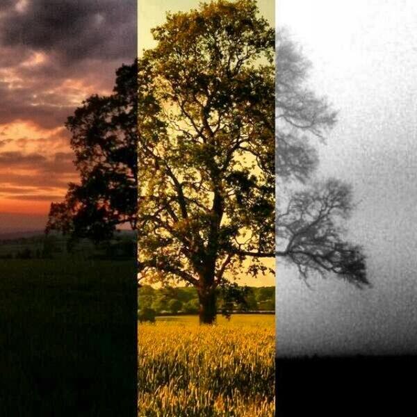 flashmeup's tweet image. The times they're changing