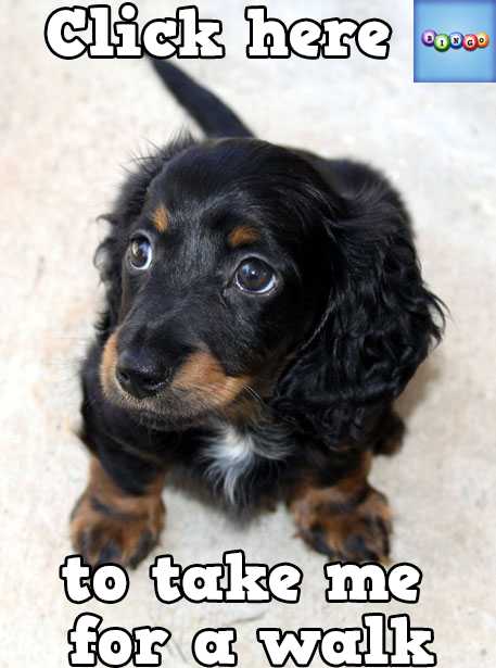 Lady Precious tweet media