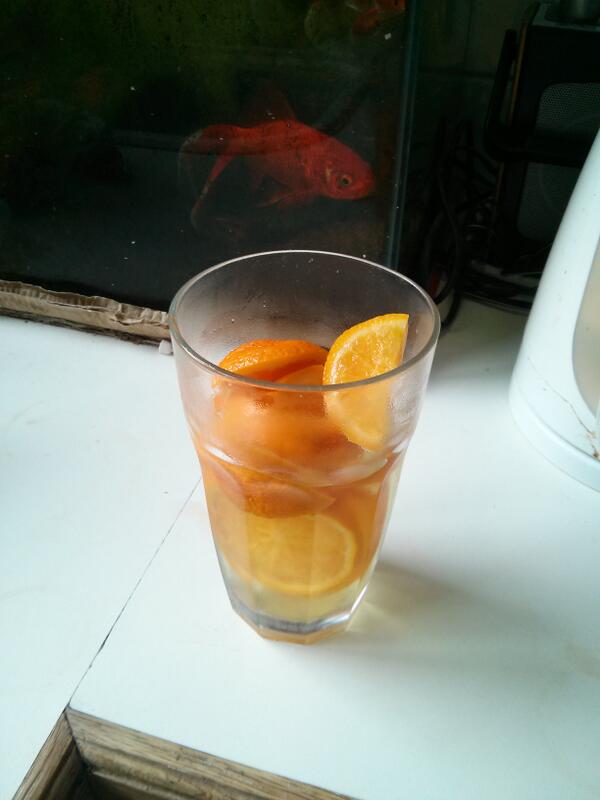 my_food_log's tweet image. How to rejuvenate a shrivelley orange:

#DontThrowMeAway
#OverNightOrangeSegments
#Refridgerate