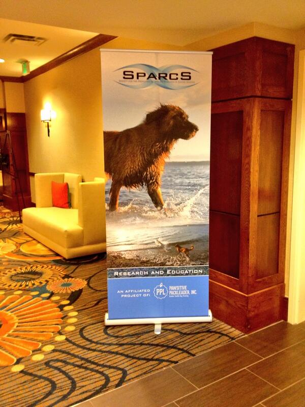 BrittBBreeden's tweet image. #SPARCS2013 IS ALMOST HERE!!!!