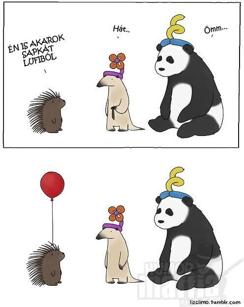 Cynti Farkas.  (@cyntifarkas) on Twitter photo 