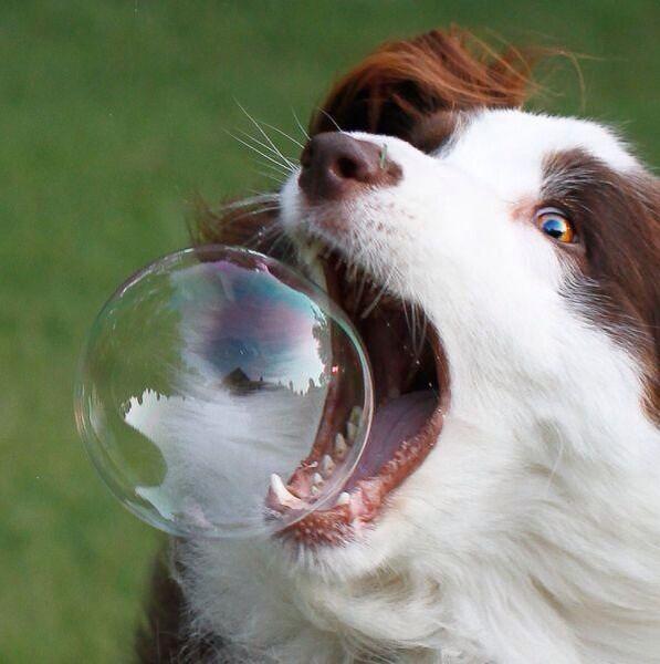 PicTimedPerfect's tweet photo. #PicTimedPerfect http://t.co/uVQPgAE9TZ