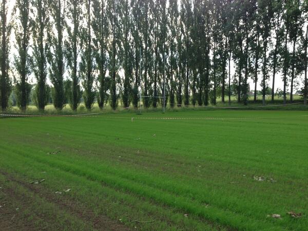 RugbyRSCA's tweet photo. #rscarugby #terrain , ça commence a ressembler a un terrain ;) http://t.co/u6vf8FUeFd