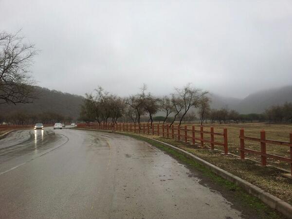 mrsa6767's tweet photo. ‏أجواء دربات بولاية طاقة هذا اليوم.. حيث تتساقط الامطار واﻷجواء الخريفية الجميلة هناك #خريف_صلالة http://t.co/JlPHXeBBtf‎"
