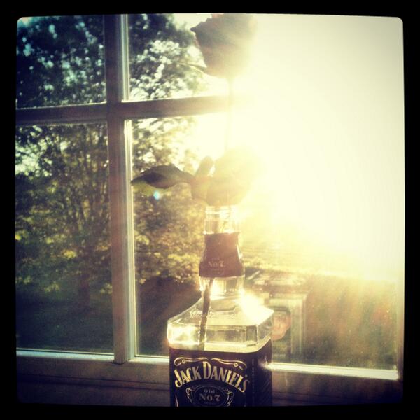 DansTweetHole's tweet image. #KFAR