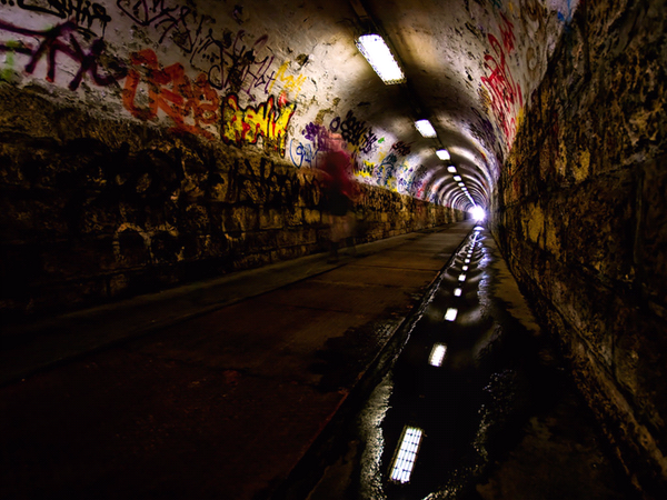 RubyTheWolf1501's tweet image. @DangerousWitch2 I see that now. Let us go forth and spill the blood of revenge onto the floor of the past. This way.