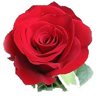 Simota3TA tweet picture