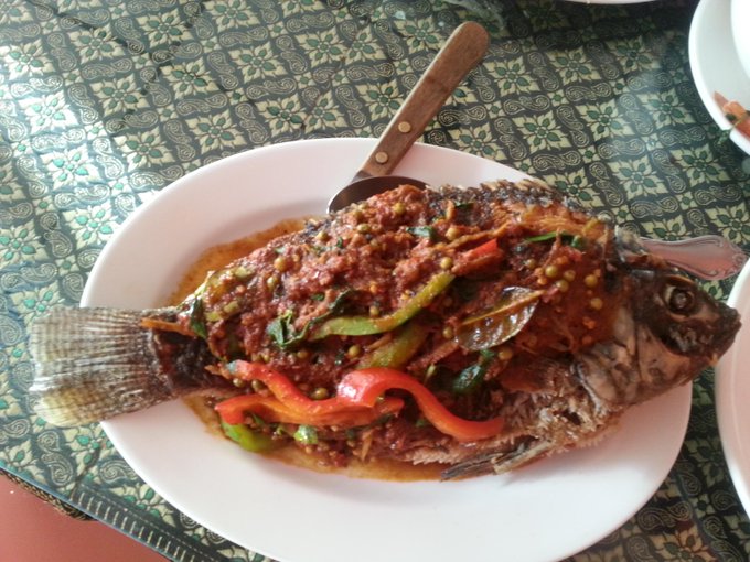 Yesterday's lunch :-) #yummy http://t.co/nYRH6lXKCK<a href="/tag/yummy"class="tags">#yummy</a>