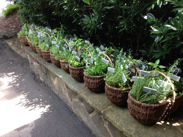 LPCEvents's tweet image. And that's a wrap! Departing gift of herbs used as decor throughout the week.