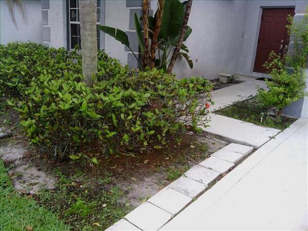 CPMSINC's tweet image. Before Landscape makeover