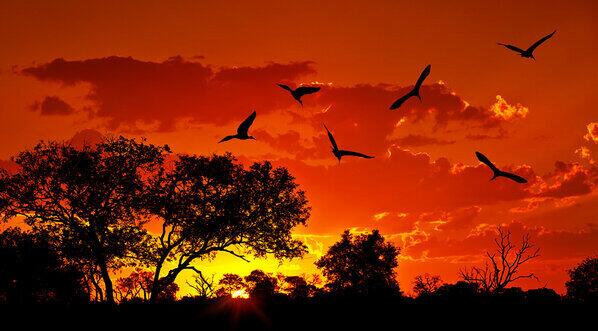 NaturPictures tweet picture