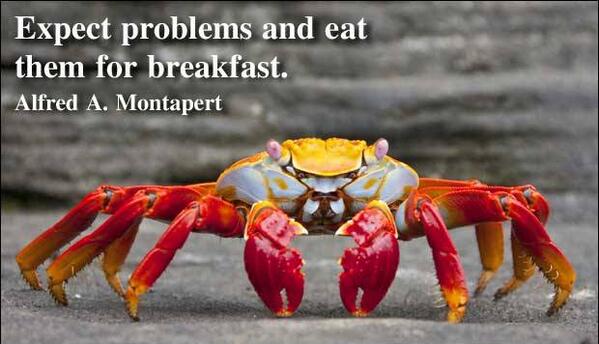 webhubit's tweet photo. "Expect problems and eat them for breakfast." Alfred A. Montapert...!! http://t.co/sYHCdDUcO7
