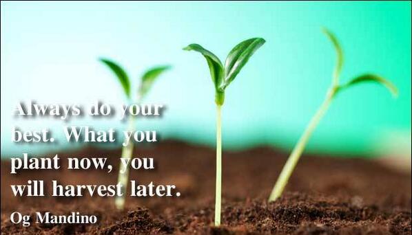 webhubit's tweet photo. "Always do your best. What you plant now, you will harvest later." Og Mandino...!! http://t.co/Ttnopp5IIJ