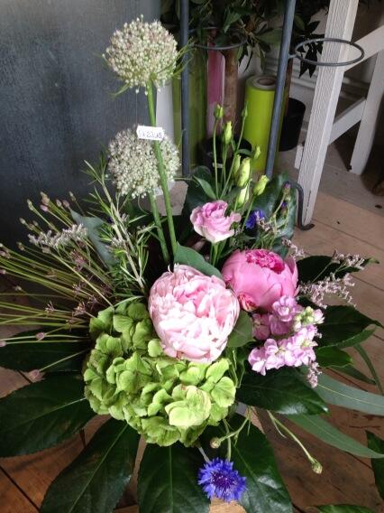 Pioen, wat zijn ze toch mooi!