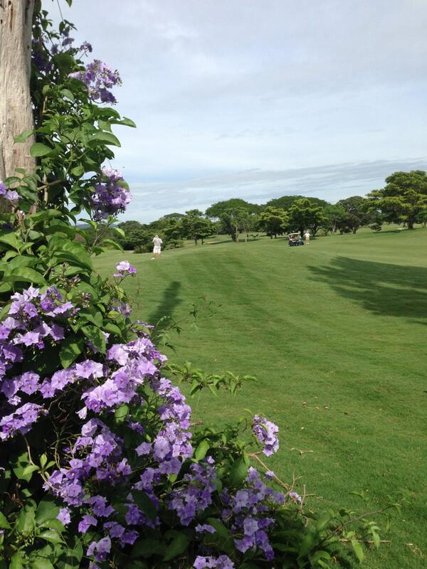 FIRMCRI's tweet photo. #TorneoDeGolfCasaRonaldMcDonald2013 http://t.co/ZmaGhty13G
