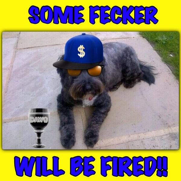 harveycusick's tweet image. #DogApprentice remember follow da hash tag fecker