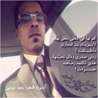 رابط دائم للصورة المُضمّنة