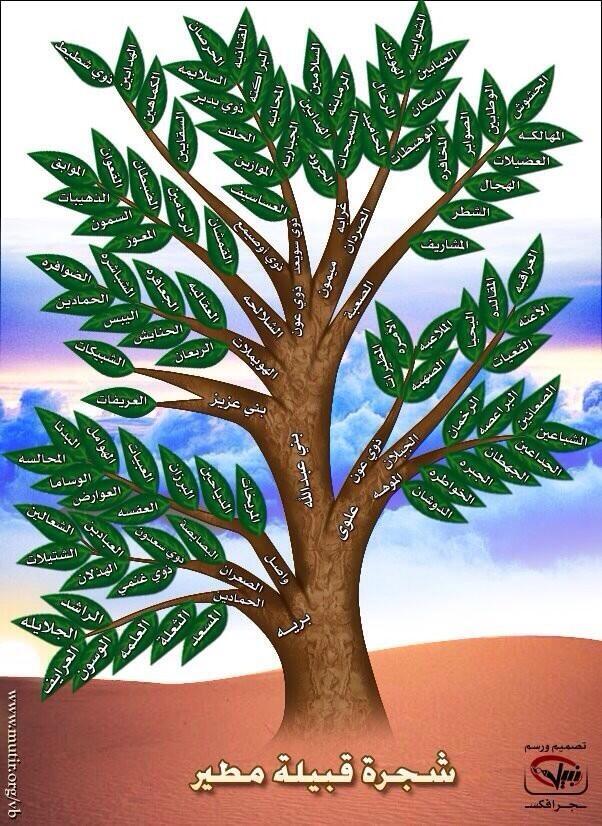 تركي الحريص On Twitter شجرة قبيلة مطير مطير حمران النواظر مطير التاريخية Http T Co Fbz3gq9eb0