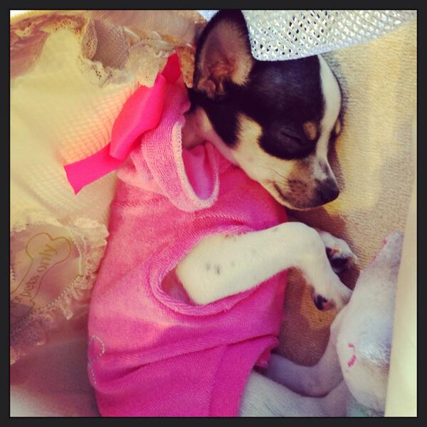 GiulyPozzii's tweet photo. Che dolcezza. Mia. ❤ http://t.co/4njXcBNjXD