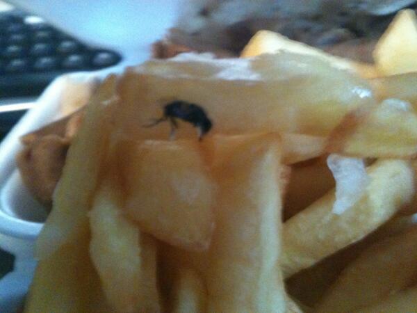 ProfanityBob's tweet photo. @BlueJayOnToast Ordered fries and drink for dinner, found it full of dead bugs? - I hate people. http://t.co/RIbzPzvRVD