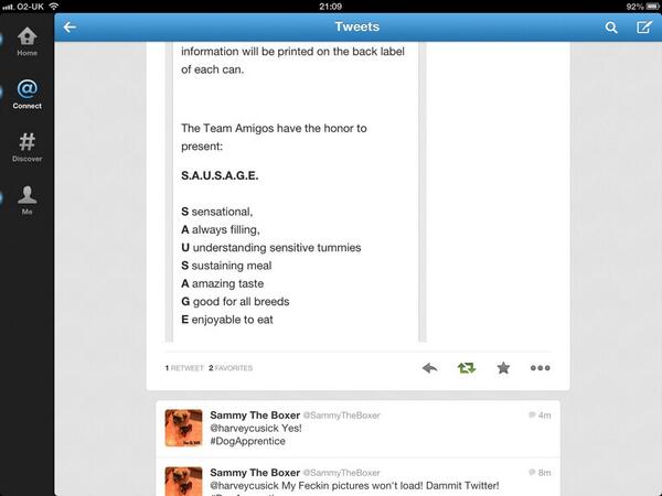 harveycusick's tweet image. #DogApprentice this is team amigoes