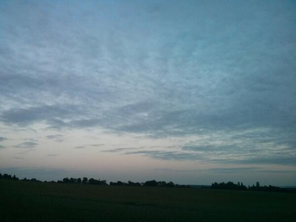 DogPsyche's tweet image. I love the fact that I can attend a fantastic conference but still get to enjoy my home with my dogs... #SPARCS2013