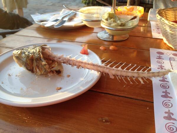 Den här lilla rackaren gjorde min kväll! #Mums #GC #Egenträning