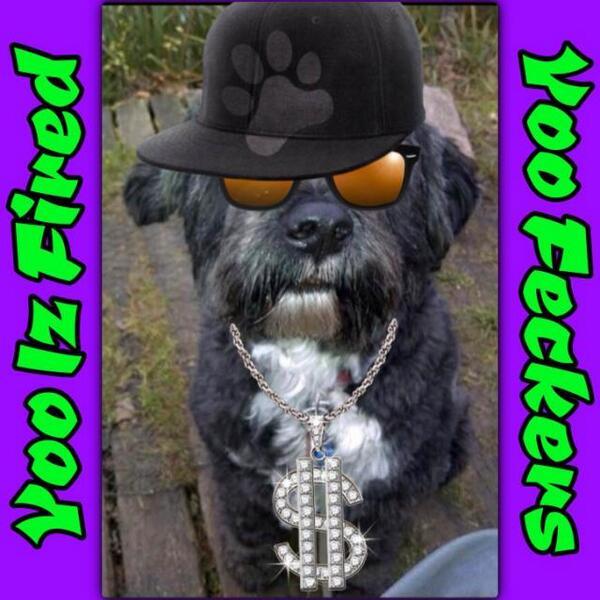 harveycusick's tweet image. #dogapprentice is still trending!