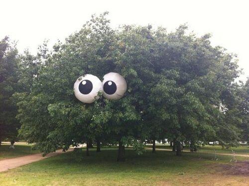 Fireflyforlife's tweet photo. @AnneWheaton  here's a challenge for you.... http://t.co/A79CanoEXq
