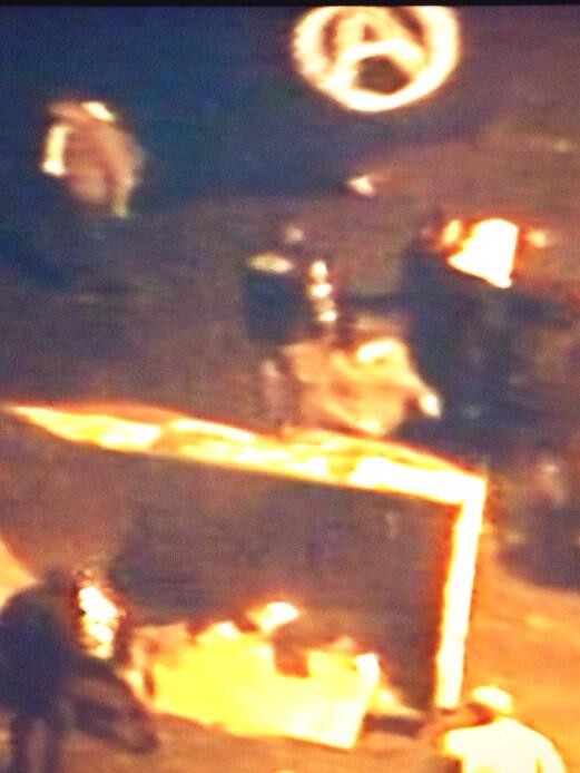 Giovanna Alvarenga 🌱 tweet media