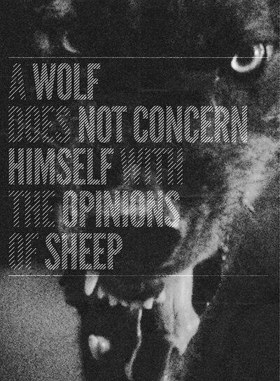 edwarddavid88's tweet photo. lone wolf http://t.co/3sFOaDeAnZ